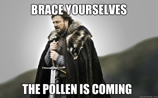 BRACE YOURSELVES the pollen is coming   Ned Stark