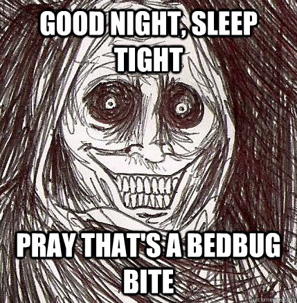 good night, sleep tight pray that's a bedbug bite  Horrifying Houseguest