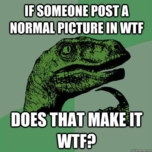 if someone post a normal picture in wtf does that make it wtf?   Philosoraptor