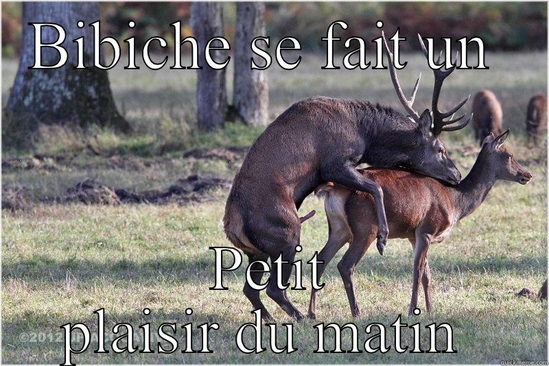 Bibiche aime les tapirs  - BIBICHE SE FAIT UN  PETIT PLAISIR DU MATIN  Misc