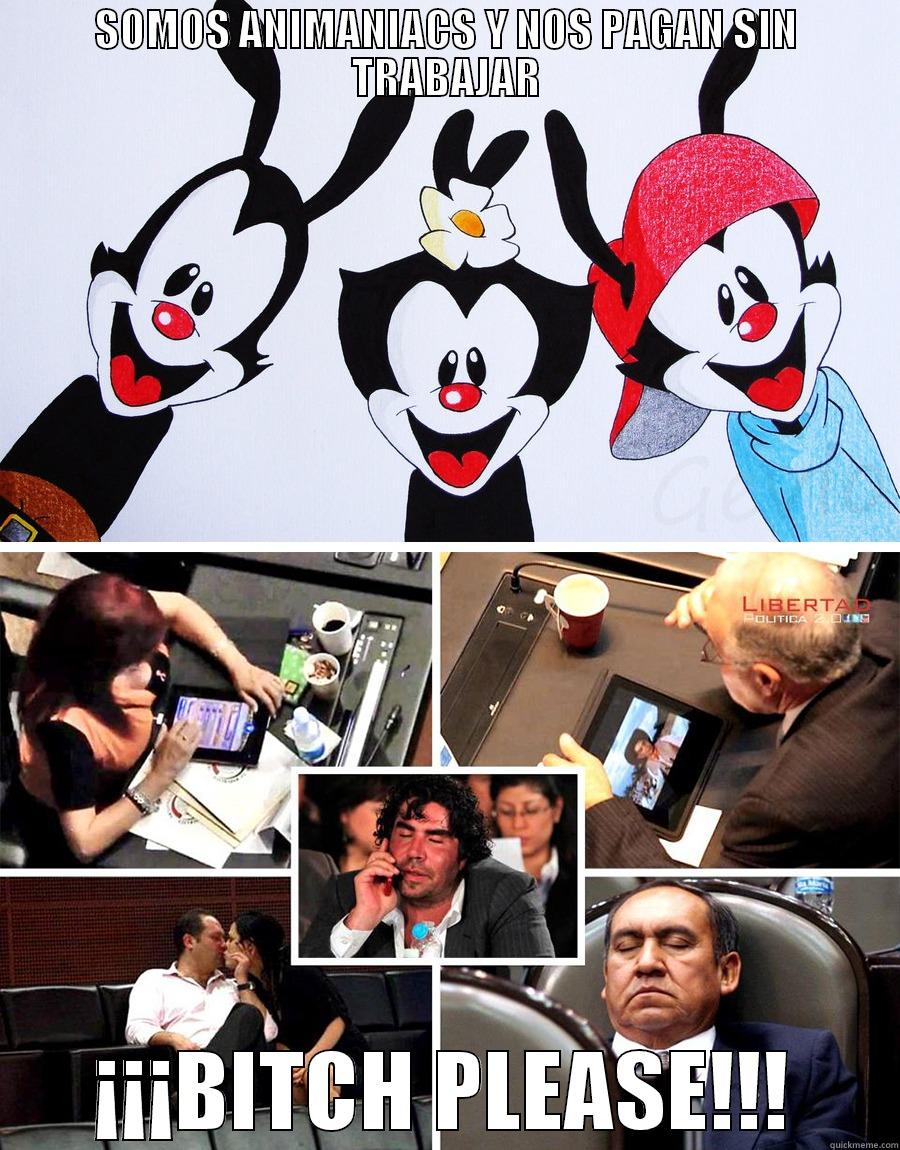 SOMOS ANIMANIACS Y NOS PAGAN SIN TRABAJAR ¡¡¡BITCH PLEASE!!! Misc