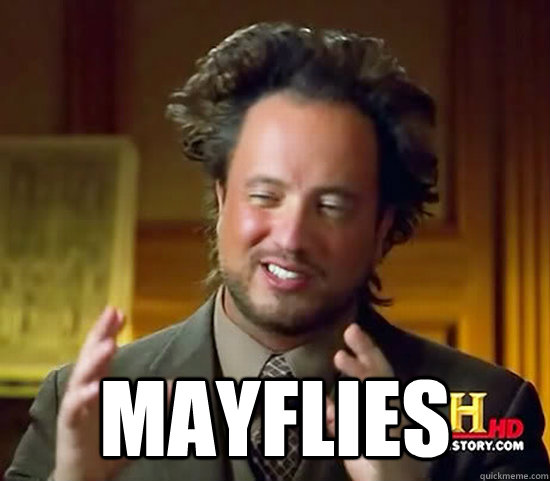  Mayflies -  Mayflies  Ancient Aliens