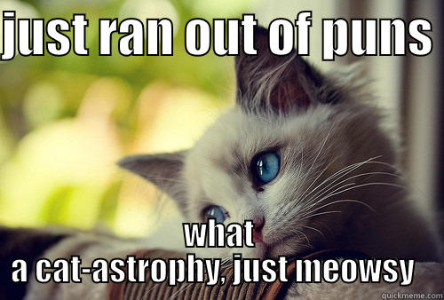 JUST RAN OUT OF PUNS  WHAT A CAT-ASTROPHY, JUST MEOWSY   First World Problems Cat