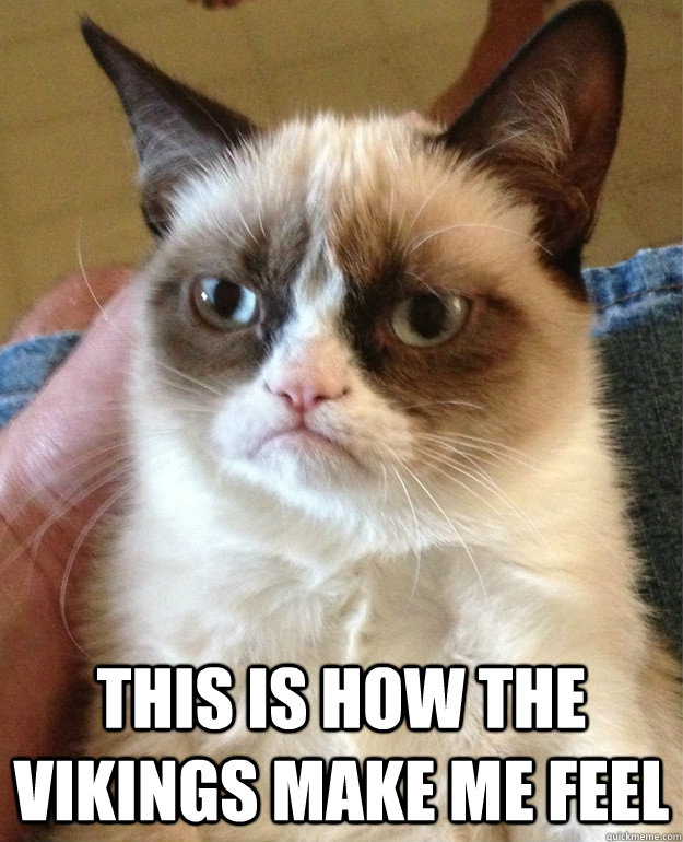  this is how the vikings make me feel  Grumpy Cat