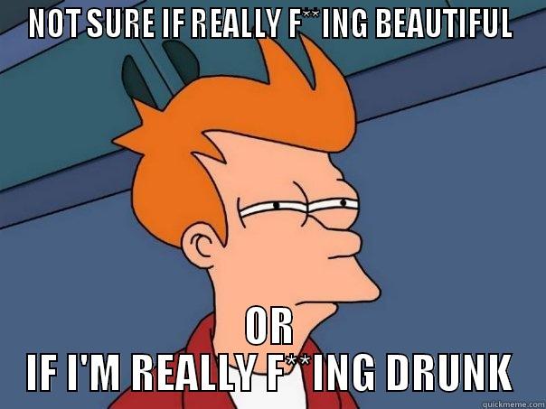 NOT SURE IF REALLY F**ING BEAUTIFUL OR IF I'M REALLY F**ING DRUNK Futurama Fry