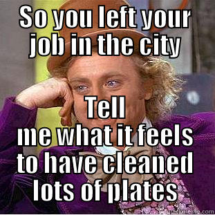 Changing your life style - SO YOU LEFT YOUR JOB IN THE CITY TELL ME WHAT IT FEELS TO HAVE CLEANED LOTS OF PLATES Condescending Wonka