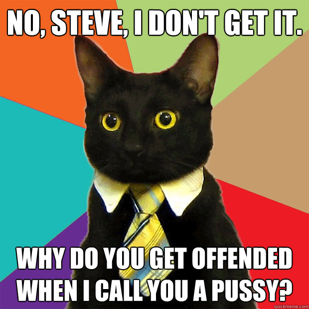 No, Steve, I don't get it. Why do you get offended when I call you a pussy?  Business Cat