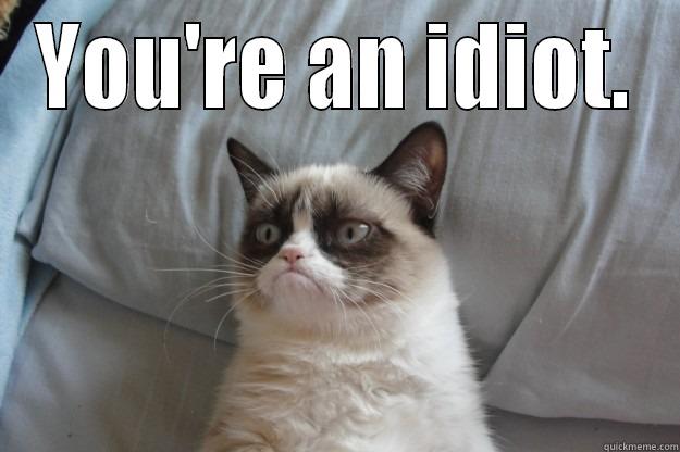 Cat tells it like it is - YOU'RE AN IDIOT.  Grumpy Cat