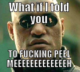 WHAT IF I TOLD YOU TO FUCKING PEEL MEEEEEEEEEEEEEH Matrix Morpheus