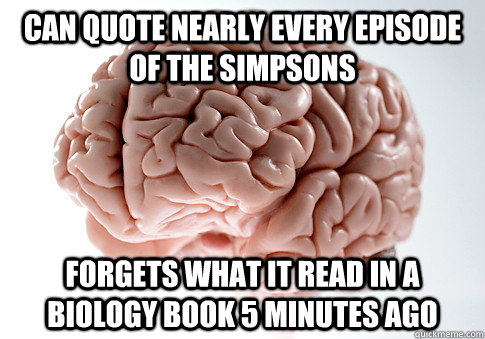 Can quote nearly every episode of The Simpsons Forgets what it read in a biology book 5 minutes ago - Can quote nearly every episode of The Simpsons Forgets what it read in a biology book 5 minutes ago  Scumbag Brain