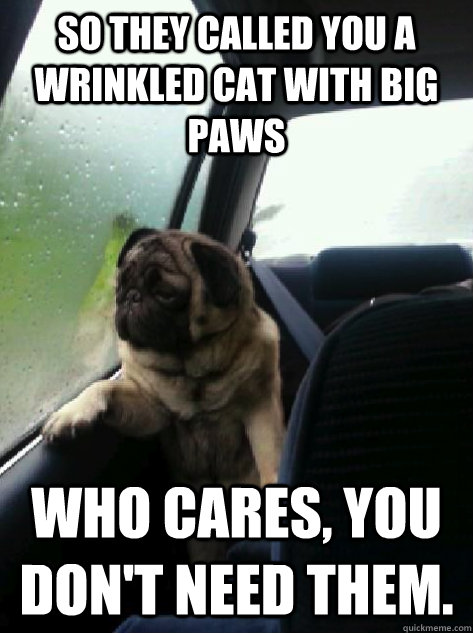 so they called you a wrinkled cat with big paws who cares, you don't need them.  Introspective Pug