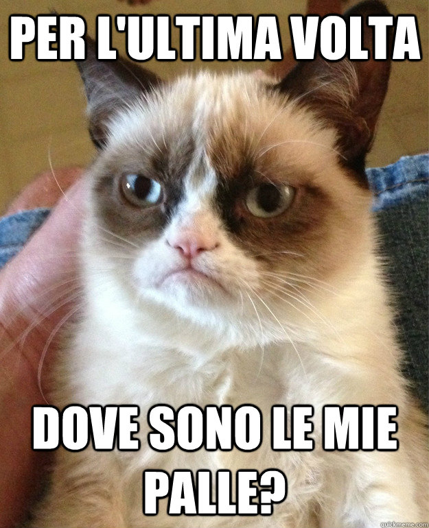 per l'ultima volta dove sono le mie palle?  Grumpy Cat