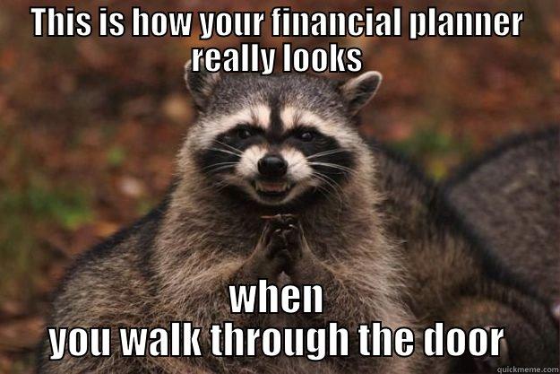 Traditional Financial Planning - THIS IS HOW YOUR FINANCIAL PLANNER REALLY LOOKS WHEN YOU WALK THROUGH THE DOOR Evil Plotting Raccoon