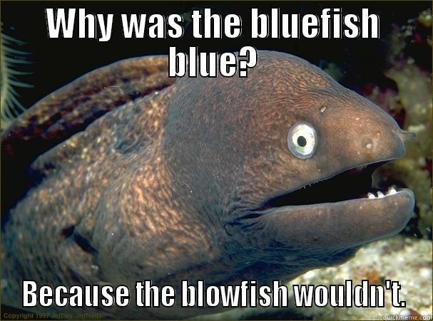 Bad Joke Eel #7 - WHY WAS THE BLUEFISH BLUE? BECAUSE THE BLOWFISH WOULDN'T. Bad Joke Eel