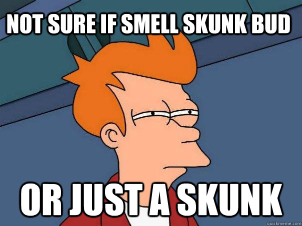 Not sure if smell skunk bud or just a skunk  Futurama Fry