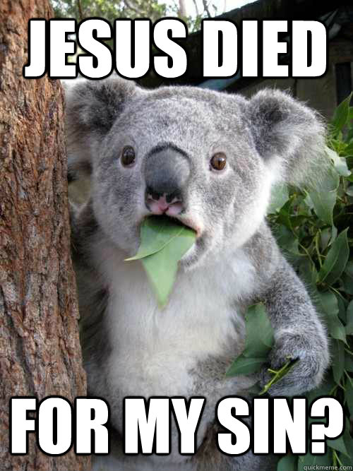 Jesus died For my Sin?  koala bear