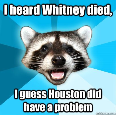 I heard Whitney died, I guess Houston did have a problem  Lame Pun Coon