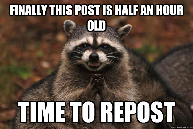 Finally this post is half an hour old Time to repost - Finally this post is half an hour old Time to repost  Evil Plotting Raccoon