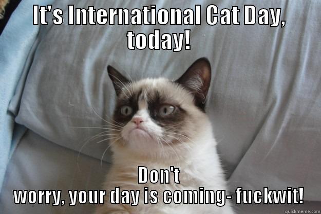 IT'S INTERNATIONAL CAT DAY, TODAY! DON'T WORRY, YOUR DAY IS COMING- FUCKWIT! Grumpy Cat