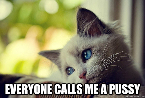 Everyone calls me a pussy  First World Problems Cat