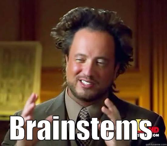 My reaction to neuro -  BRAINSTEMS Ancient Aliens