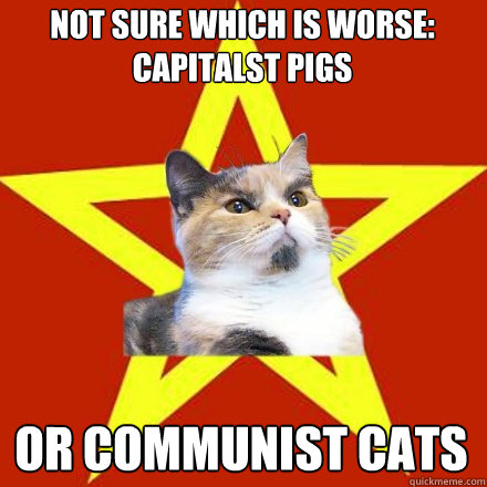 not sure which is worse: capitalst pigs or communist cats  Lenin Cat