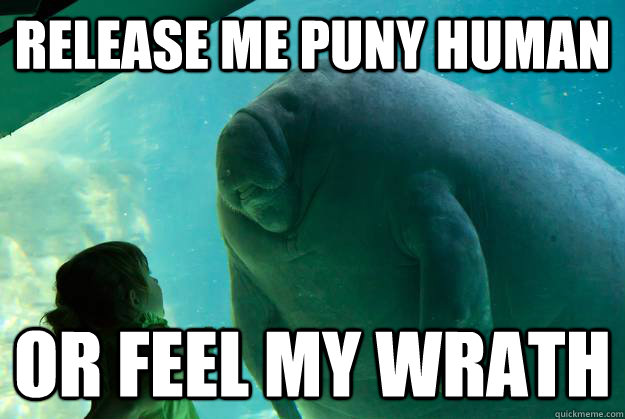 Release me puny human or feel my wrath  Overlord Manatee