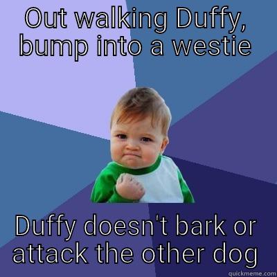 OUT WALKING DUFFY, BUMP INTO A WESTIE DUFFY DOESN'T BARK OR ATTACK THE OTHER DOG Success Kid