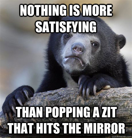 nothing is more satisfying than popping a zit that hits the mirror - nothing is more satisfying than popping a zit that hits the mirror  Confession Bear