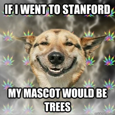 If I went to Stanford My mascot would be trees  Stoner Dog