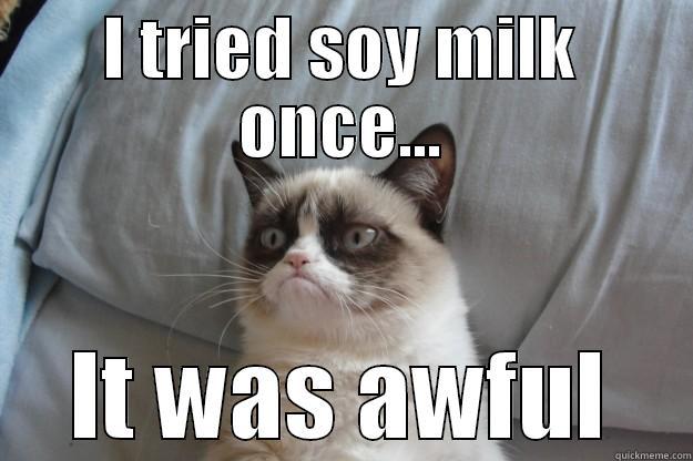 I TRIED SOY MILK ONCE... IT WAS AWFUL Grumpy Cat