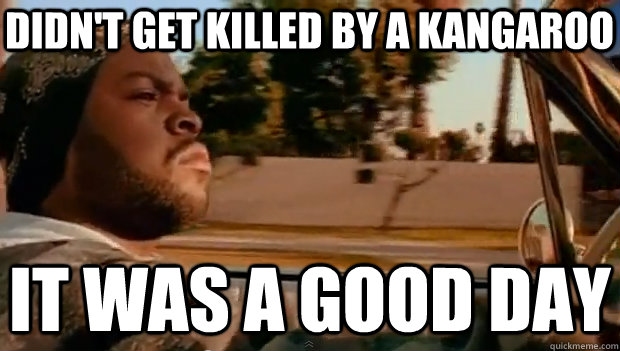 DIDN'T GET KILLED BY A KANGAROO IT WAS A GOOD DAY  It was a good day