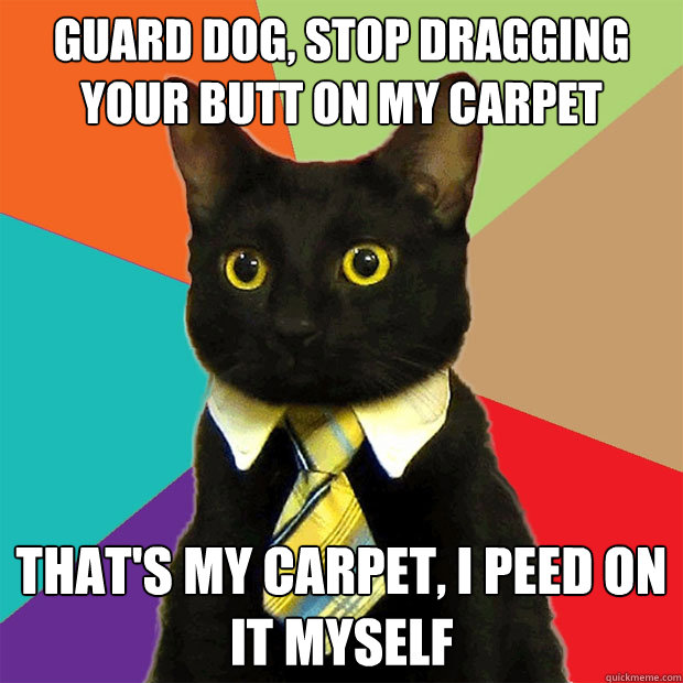 guard dog, stop dragging your butt on my carpet that's my carpet, i peed on it myself - guard dog, stop dragging your butt on my carpet that's my carpet, i peed on it myself  Business Cat