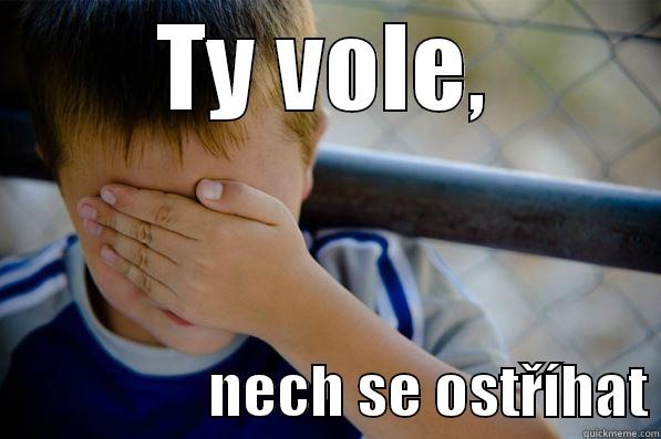 Ostříhej se - TY VOLE,                   NECH SE OSTŘÍHAT Confession kid