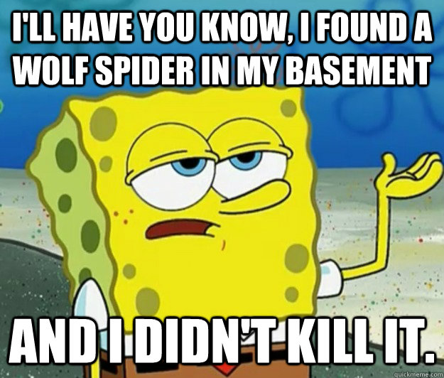 I'll have you know, I found a wolf spider in my basement and I didn't kill it.   Tough Spongebob