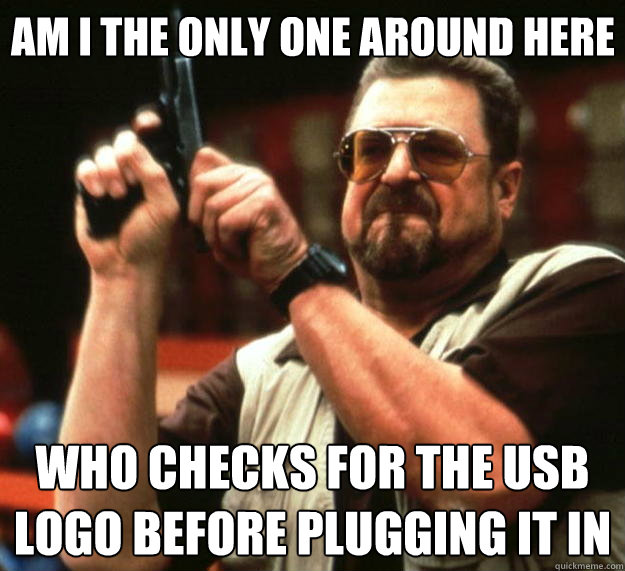 Am I the only one around here Who checks for the usb logo before plugging it in  Big Lebowski