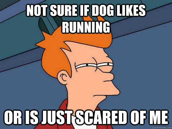 Not sure if dog likes running Or is just scared of me  Futurama Fry