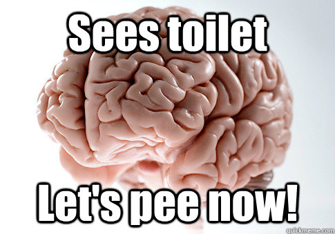 Sees toilet Let's pee now!  Scumbag Brain