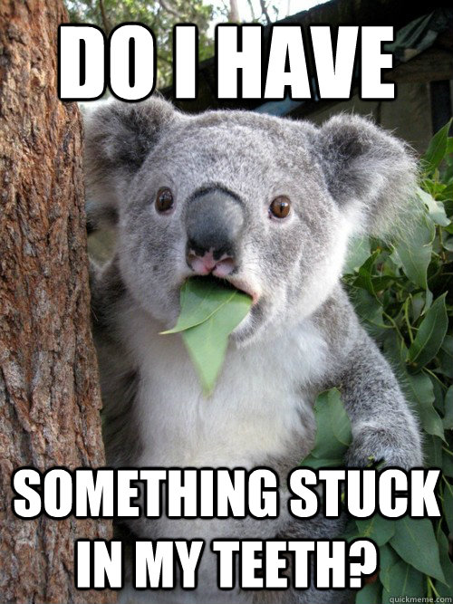 Do I have Something stuck in my teeth? - Do I have Something stuck in my teeth?  koala bear