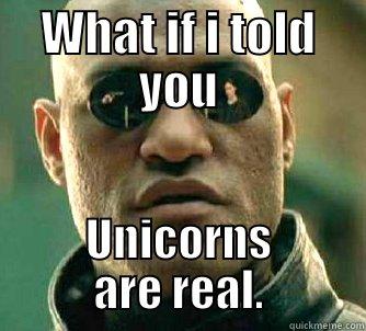 WHAT IF I TOLD YOU UNICORNS ARE REAL. Matrix Morpheus