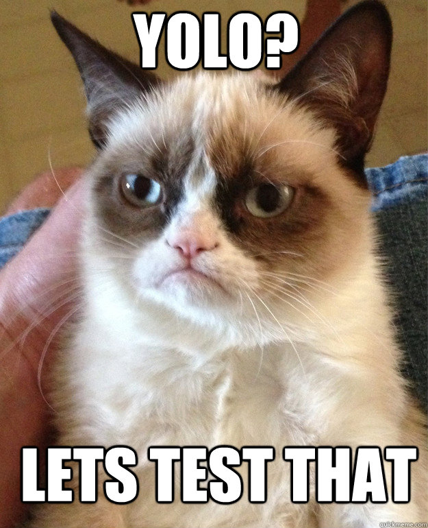 YOLO? LETS TEST THAT  Grumpy Cat