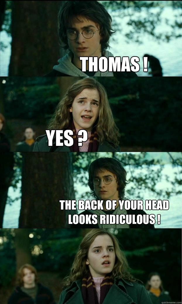 Thomas ! yes ?  The back of your head looks ridiculous !  Horny Harry