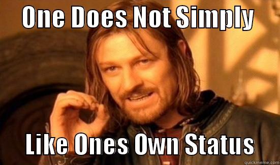     ONE DOES NOT SIMPLY            LIKE ONES OWN STATUS     Boromir