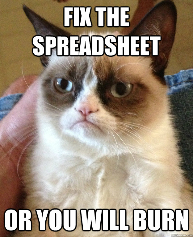 fix the spreadsheet or you will burn  Grumpy Cat