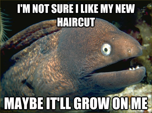 I'm not sure i like my new haircut maybe it'll grow on me  Bad Joke Eel