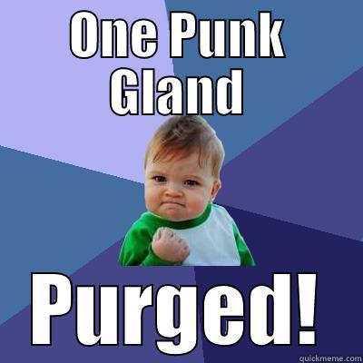 ONE PUNK GLAND PURGED! Success Kid