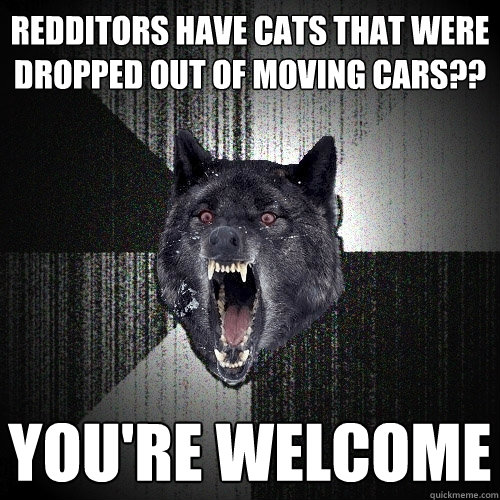 Redditors have cats that were dropped out of moving cars?? you're welcome  Insanity Wolf