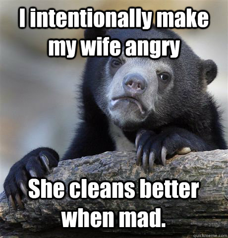 I intentionally make my wife angry She cleans better when mad. - I intentionally make my wife angry She cleans better when mad.  Confession Bear