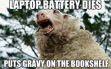 Laptop battery dies puts gravy on the bookshelf  Meth Sheep