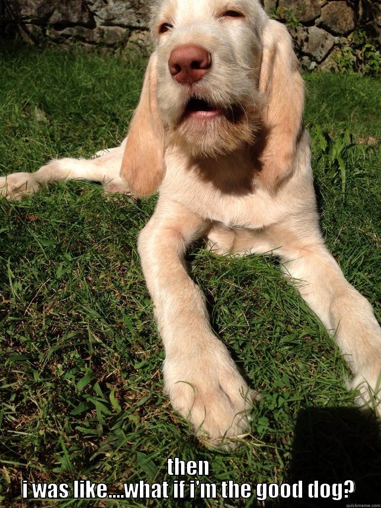 stoner dog -  THEN I WAS LIKE....WHAT IF I'M THE GOOD DOG? Misc